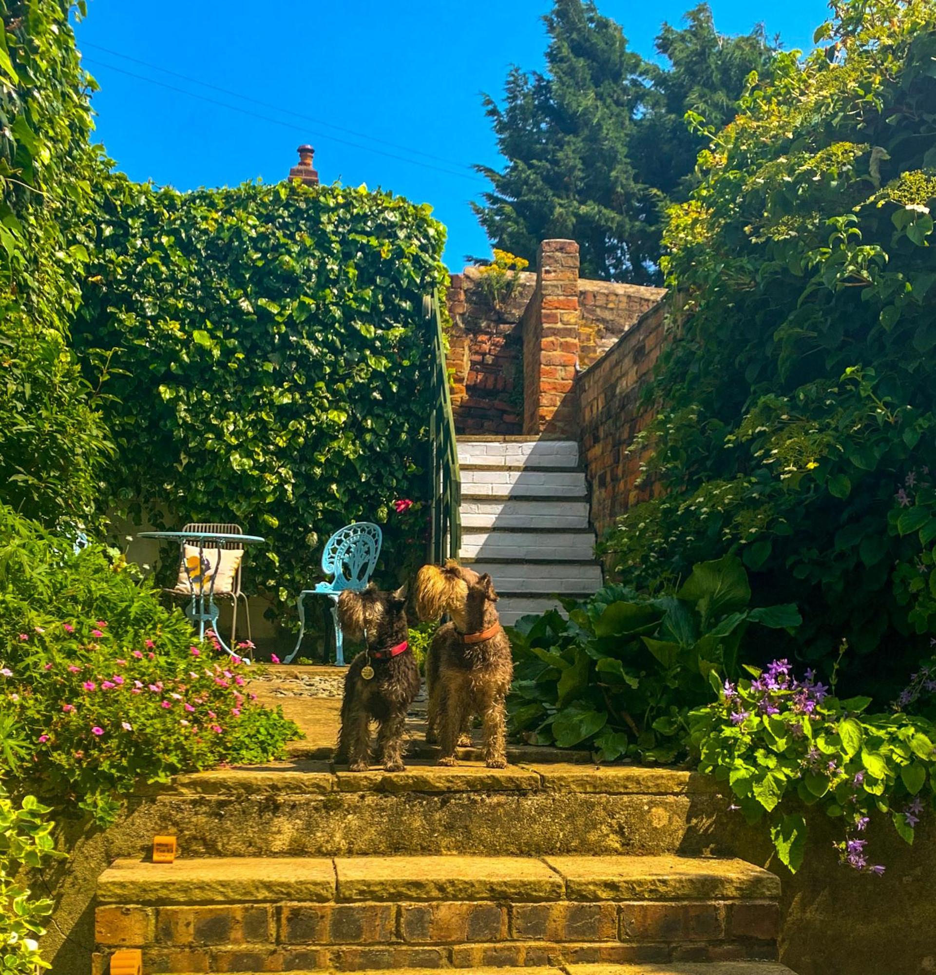 Gowland Cottage, Old Town, สการ์โบโรห์ ภายนอก รูปภาพ
